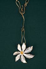 Load image into Gallery viewer, Ambaí Lariat