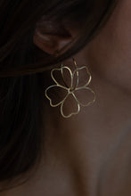 Load image into Gallery viewer, Floating Hoops