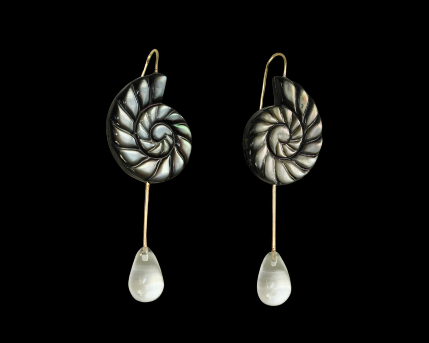 Nautilus and quartz
