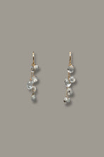 Load image into Gallery viewer, Ryokan Droplets
