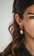 Load image into Gallery viewer, Leafy Abalone Earring
