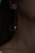 Load image into Gallery viewer, Delphine Drops
